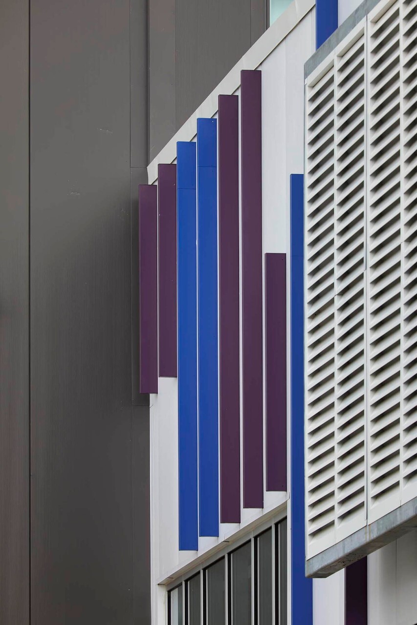 Accent Fins