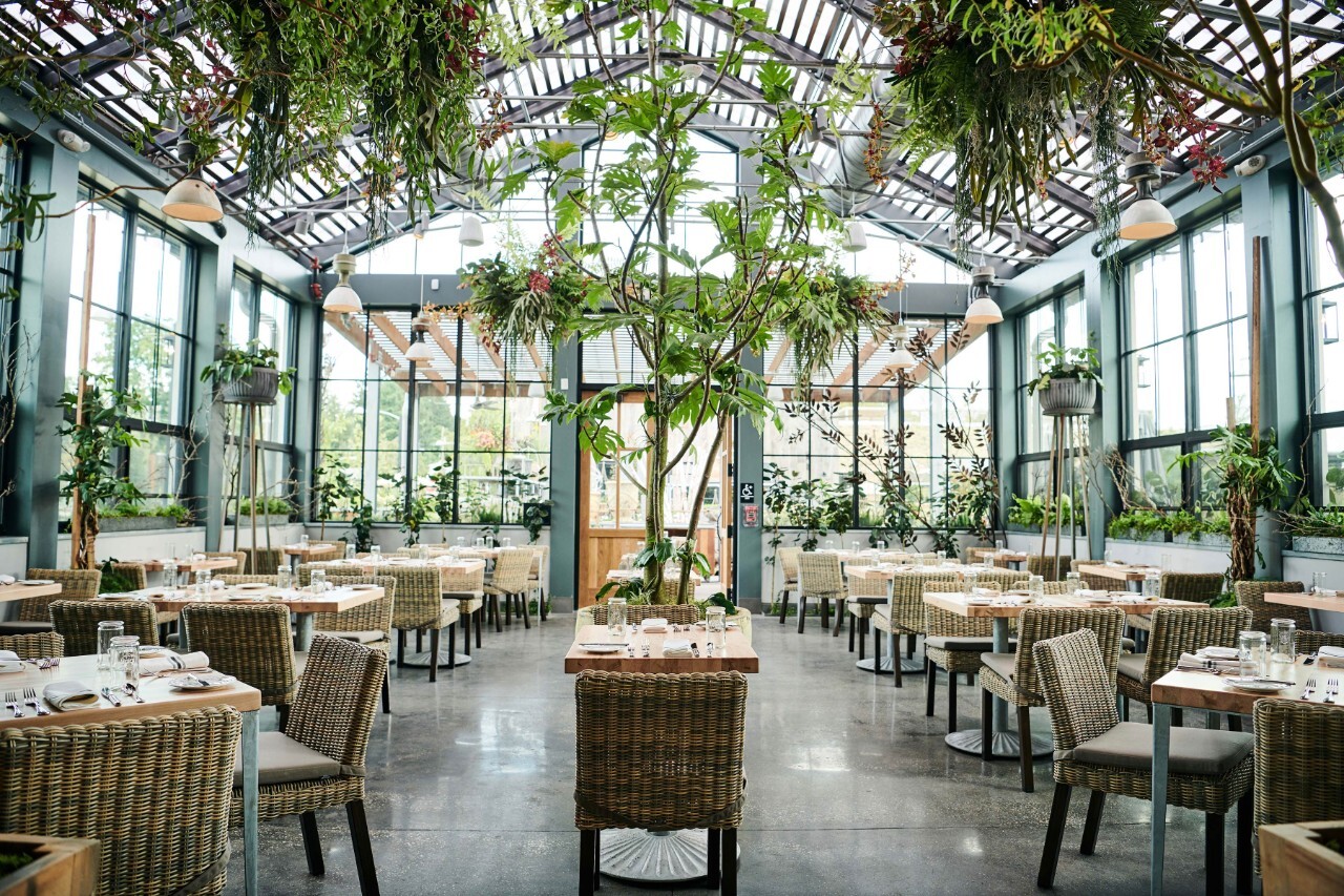 Daylighting Design